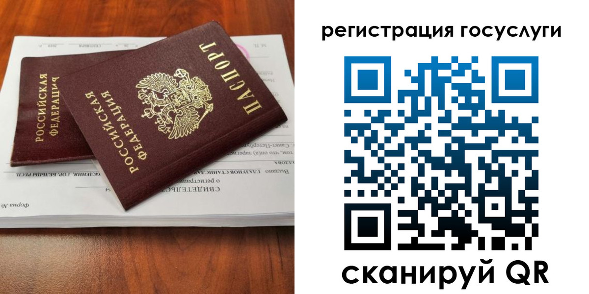 временная регистрация поиск в Светлом